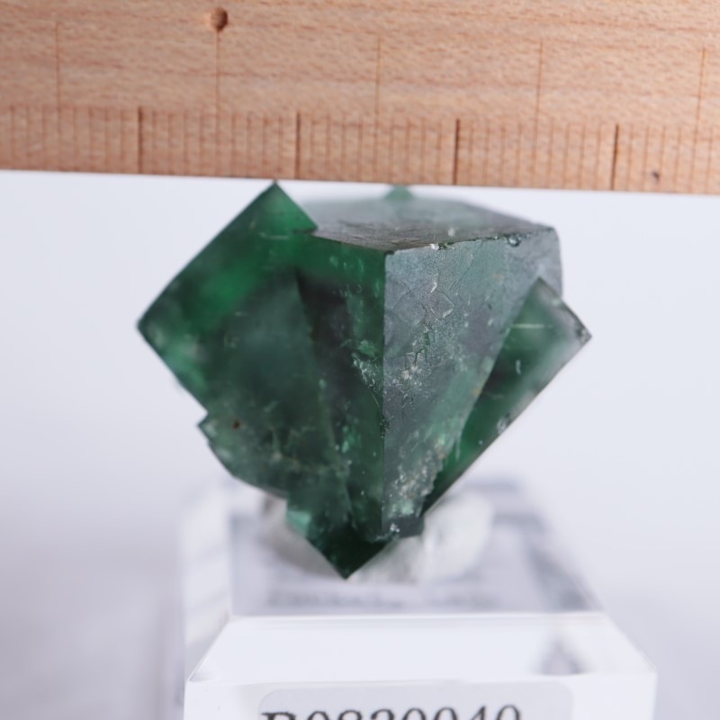 Fairy Holes Pocket産フローライト | 鉱物標本,ハ行,フロー