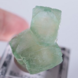 Lonavala�����ݥե��饤��