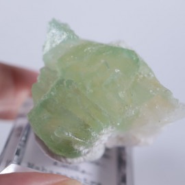 Lonavala�����ݥե��饤��