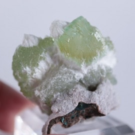 Lonavala�����ݥե��饤��