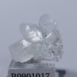 Sawda Mine�������ݥե��饤��