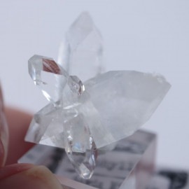 Sawda Mine�������ݥե��饤��