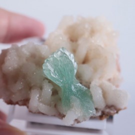 ����ɻ������ݥե��饤��