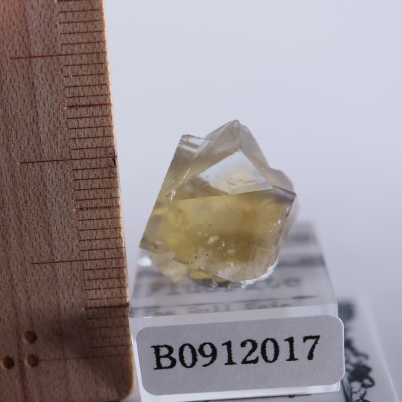 イギリス レディアナベラ　The Bull vein フローライト　鉱物標本 The Bull Vein フローライト | 鉱物標本,ハ行,フローライト/蛍石