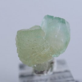 Lonavala���������������꡼�󥢥ݥե��饤��