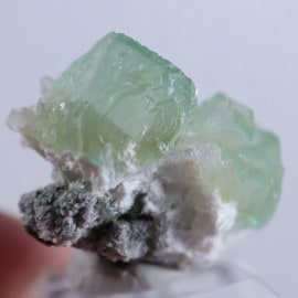 Lonavala���������������꡼�󥢥ݥե��饤��