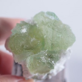 Lonavala���������������꡼�󥢥ݥե��饤��