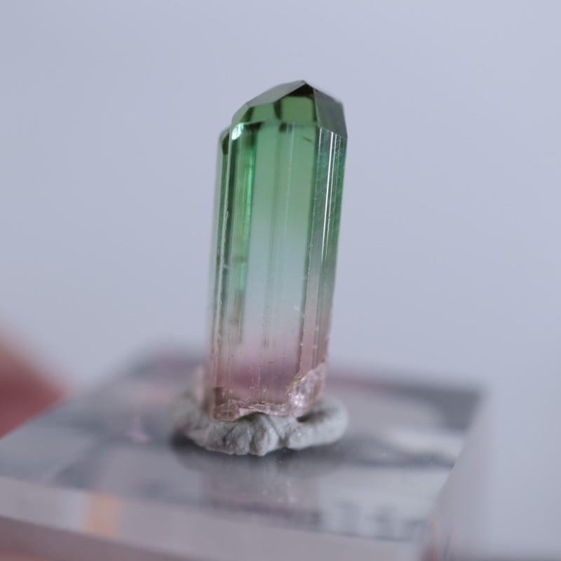 Rubaya鉱山産 トルマリン | 鉱物標本,タ行,トルマリン/電気石 | ほたる