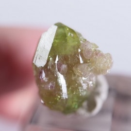 Jeffreyۻ٥ӥʥȡʥ٥С