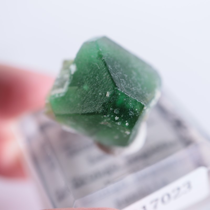 ナミビア産 フローライト | 鉱物標本,ハ行,フローライト/蛍石 | ほたる