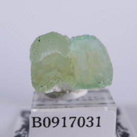 Lonavala���������������꡼�󥢥ݥե��饤��