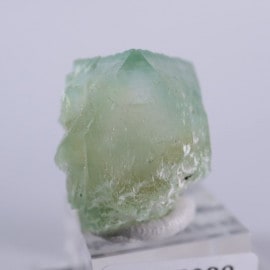 Lonavala���������������꡼�󥢥ݥե��饤��