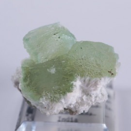 Lonavala���������������꡼�󥢥ݥե��饤��