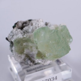 Lonavala���������������꡼�󥢥ݥե��饤��