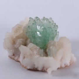 Chitegaon�������ݥե��饤��