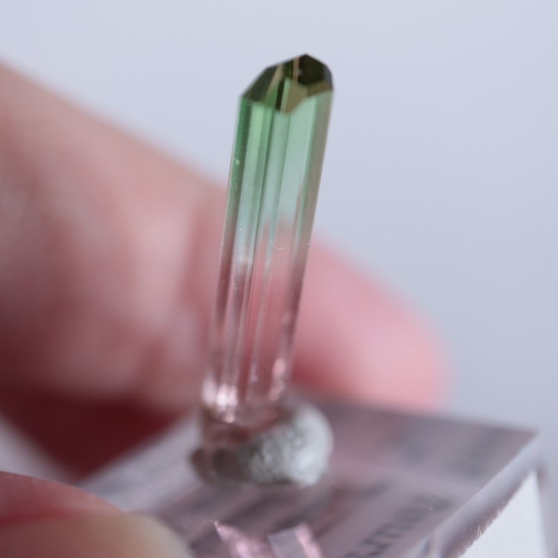 Rubaya鉱山 トルマリン | 鉱物標本,タ行,トルマリン/電気石 | ほたるみ