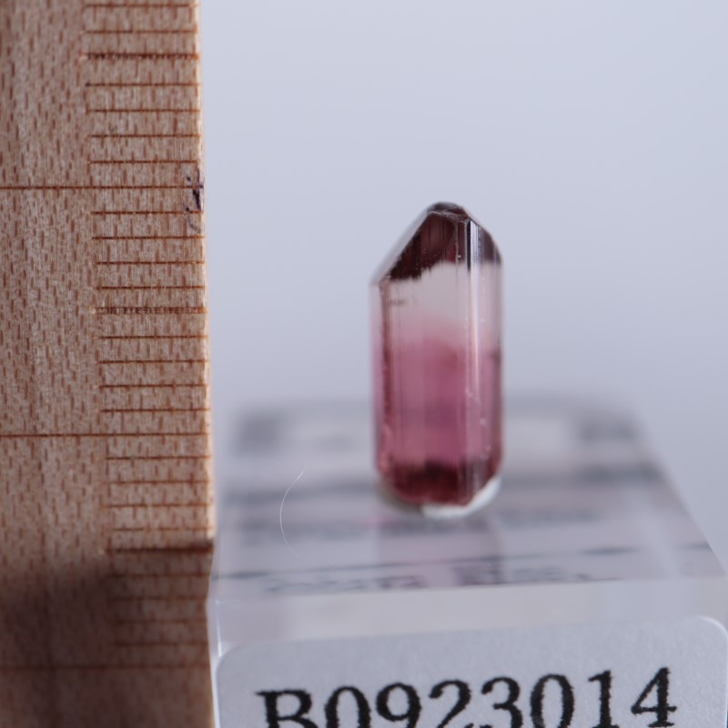 Rubaya鉱山 トルマリン | 鉱物標本,タ行,トルマリン/電気石 | ほたるみ