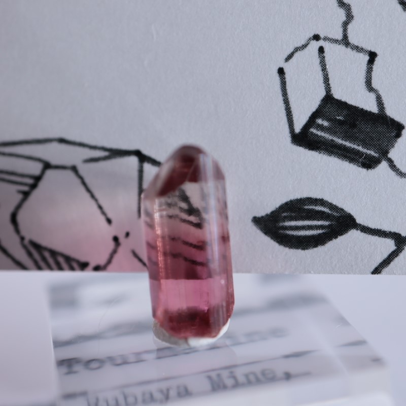 Rubaya鉱山 トルマリン | 鉱物標本,タ行,トルマリン/電気石 | ほたるみ