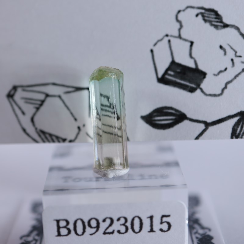 Rubaya鉱山 トルマリン | 鉱物標本,タ行,トルマリン/電気石 | ほたるみ