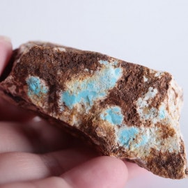 ����ꥫ��������������