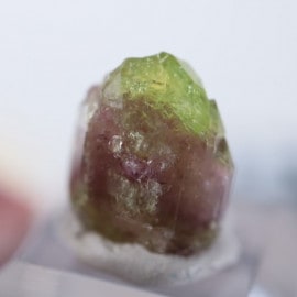 ե꡼ۻ٥Сʥ٥ӥʥȡ