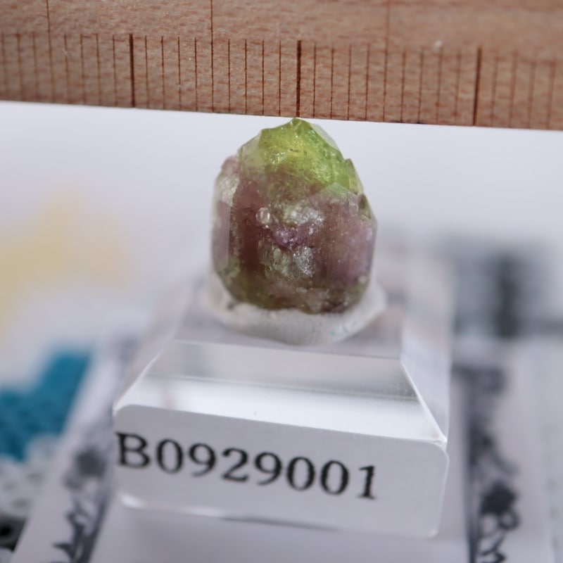 ジェフリー鉱山 ベスブ石（ベスビアナイト） | 鉱物標本,ハ行,ベスビア