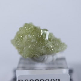 ե꡼ۻ٥Сʥ٥ӥʥȡ