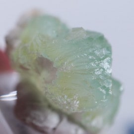 Lonavala���������������꡼�󥢥ݥե��饤��