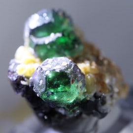 �ʥߥӥ������ե����饤�ȡ�����