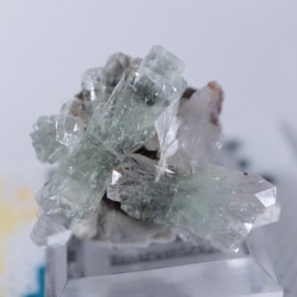 Sangamner�������ݥե��饤��