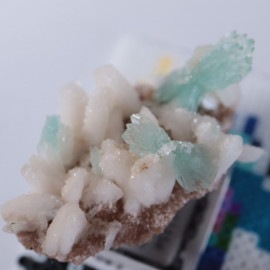 Chitegaon�������ݥե��饤��