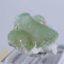 Lonavala�������ݥե��饤��