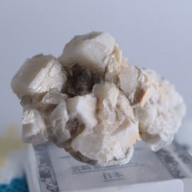 �ܺ긩����Ĺ��