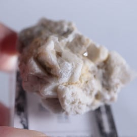 �ܺ긩����Ĺ��