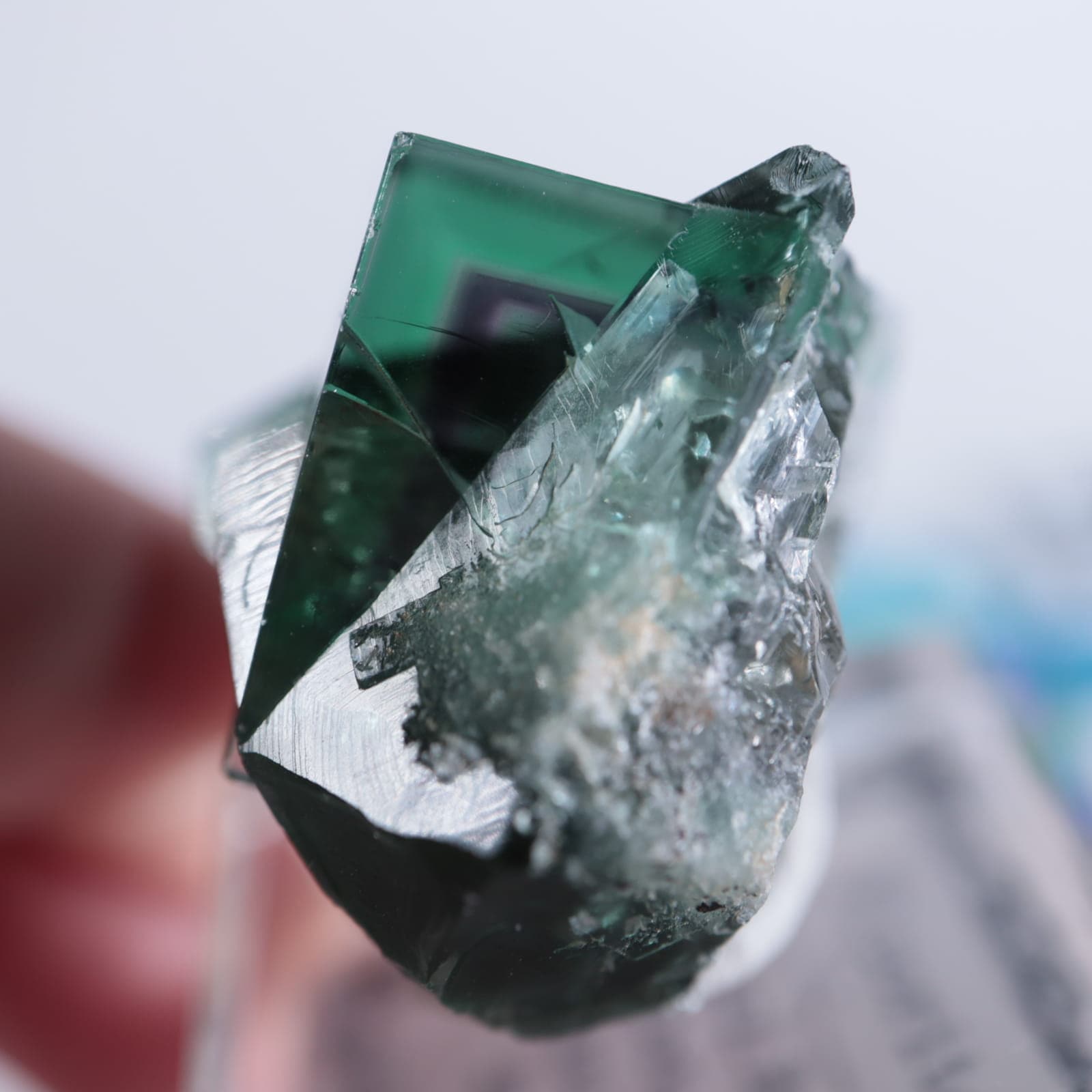 Fairy Holes Pocket産 フローライト（蛍石） | 鉱物標本,ハ行,フロー