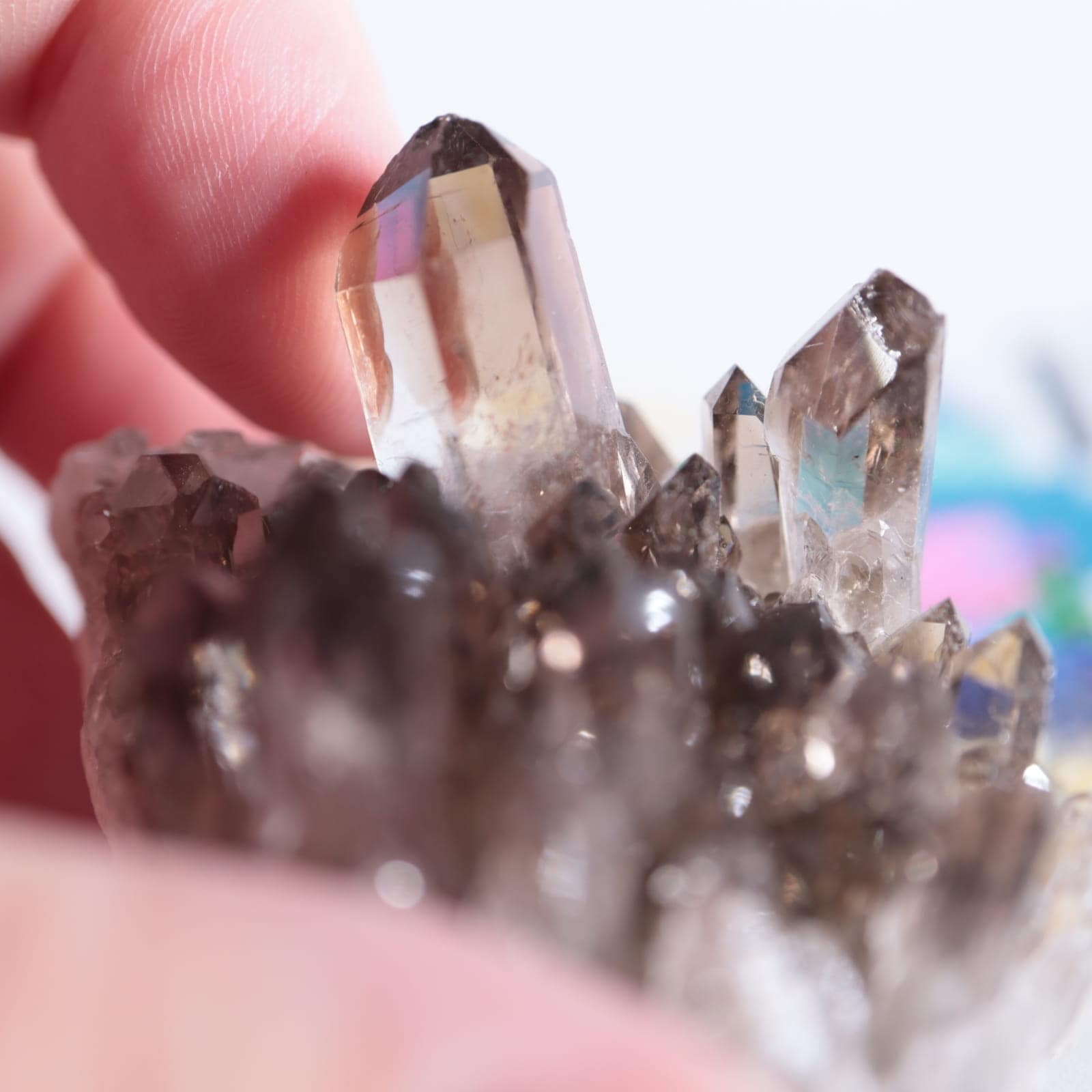 トップ良好 未研磨 スイス スモーキークォーツ 煙水晶 原石 標本