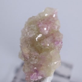 ե꡼ۻ٥Сʥ٥ӥʥȡ