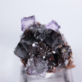 ����०�åɹۻ����ե����饤�ȡ����ե���饤��