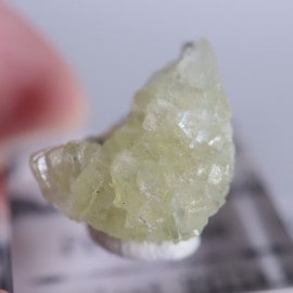 ���󥶥˥������ץ�ʥ���