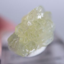 ���󥶥˥������ץ�ʥ���