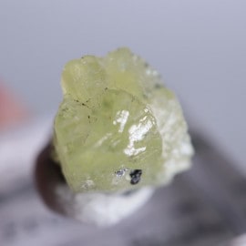 ���󥶥˥������ץ�ʥ���