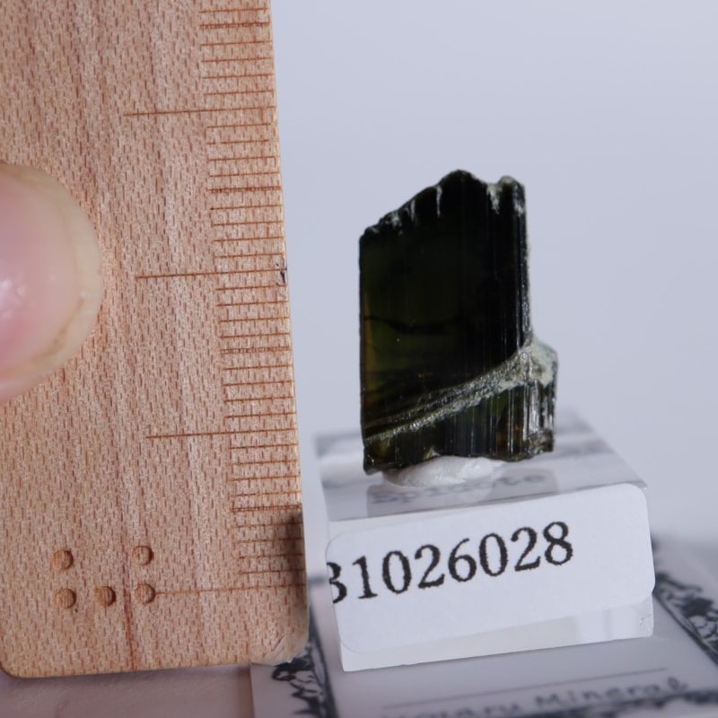 パキスタン産 エピドート | 鉱物標本,ア行,エピドート/緑簾石 | ほたる