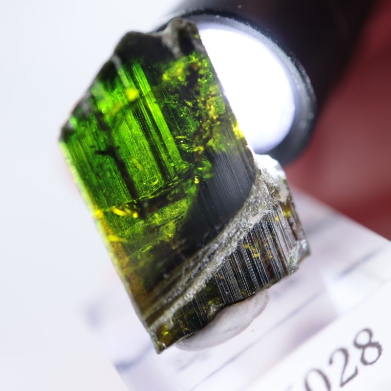 パキスタン産 エピドート | 鉱物標本,ア行,エピドート/緑簾石 | ほたる