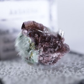 ����ե���˥������������ʥ���