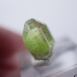 �ѥ������󻺡��ڥ�ɥå�