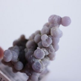 ����ɥͥ����������졼�ץ������ȡʥ��᥷���ȡ�