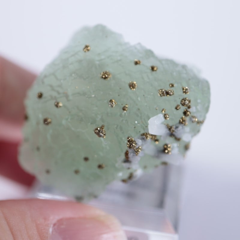 El Hammam鉱山 フローライト（蛍石） | 鉱物標本,ハ行,フローライト/蛍