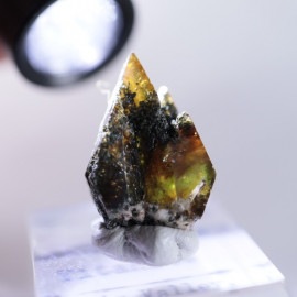 �ѥ������󻺡������ʥ��ȡʥ��ե����