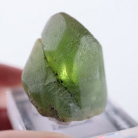 �ѥ������󻺡��ڥ�ɥå�