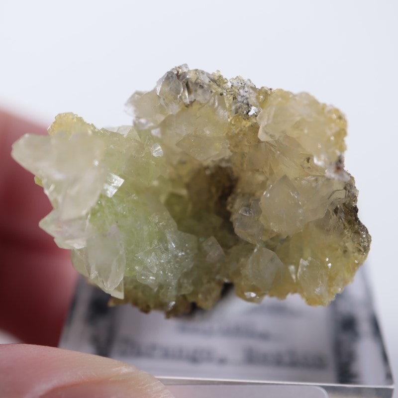 カルサイト/アダマイト　鉱物標本 カルサイト の商品一覧- 鉱物標本・隕石標本販売のWeb専門店